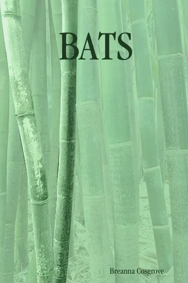 BATS