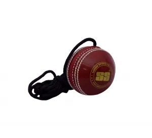 Hanging Ball